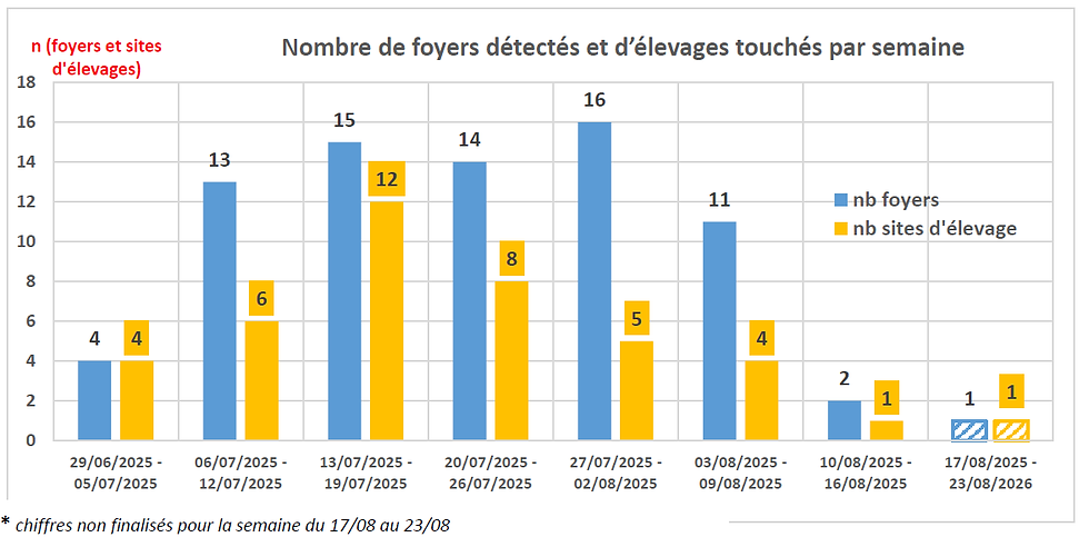 Figure 4- Evolution de l'épidémie en France 2025
