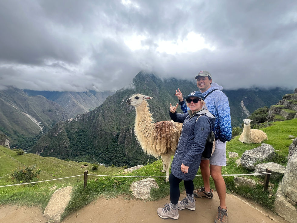 Alpacas on the top of Machu Picchu