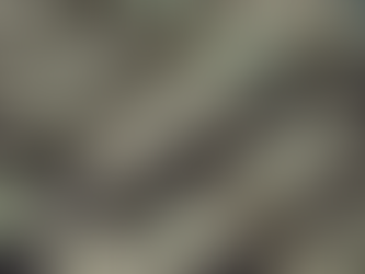 Maximize Profits: Expert Fitness Consulting for Gym Owners