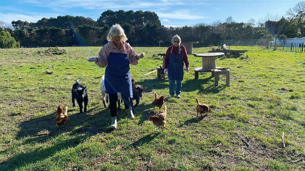 Two visitors walking with a flock of chickens and the goats