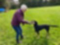 A visitor playing with Bella the dog