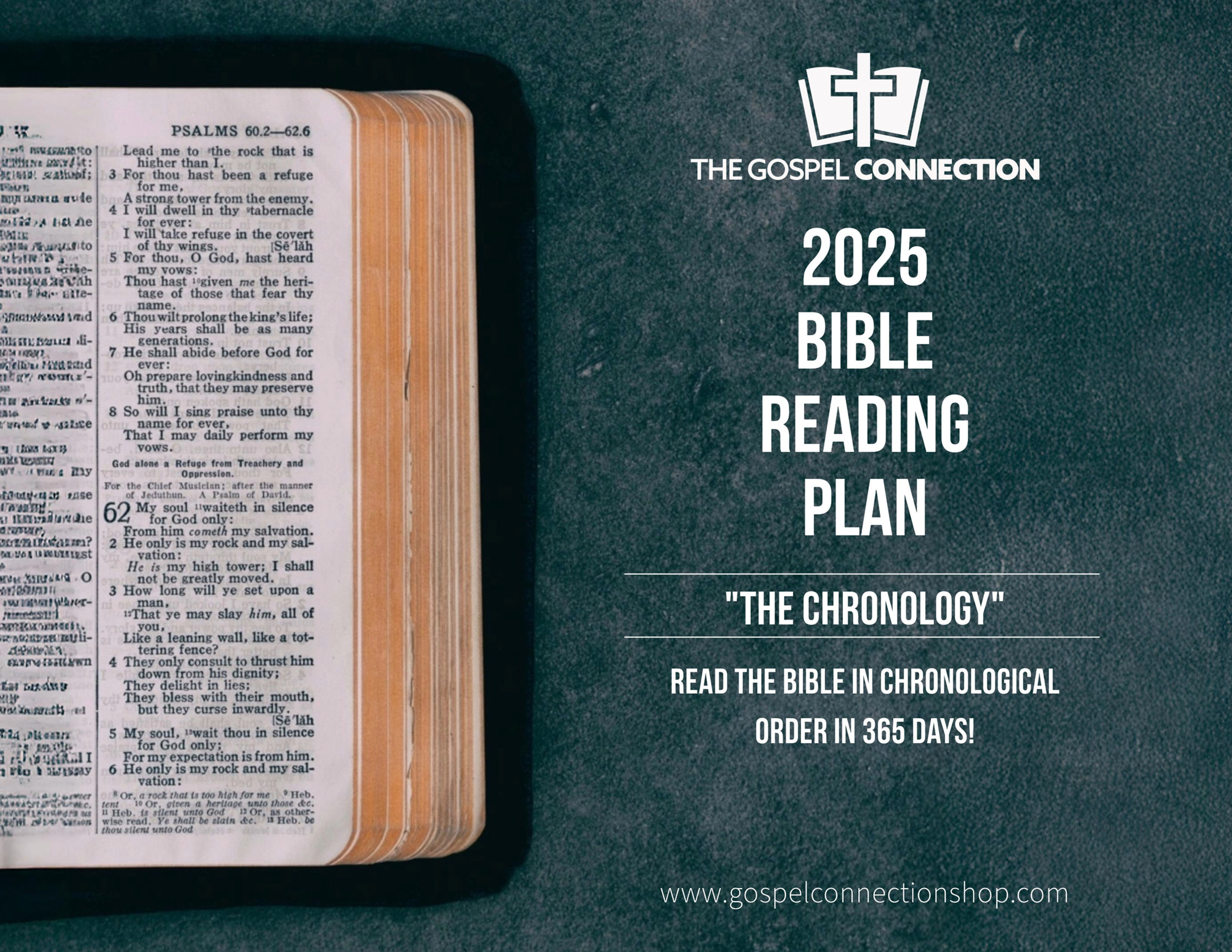 "The Chronology" - 2025 Bible Reading Plan