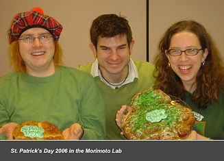 stpatricks01.jpeg