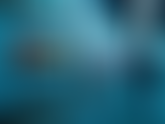 KNX Programmierung Kosten – Kostenübersicht für KNX-Programmierung