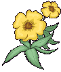 image557.gif
