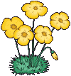 image552.gif