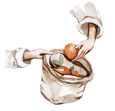 Apfel_Einkaufen_Stadtbuur