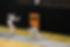 Fencing Match Action