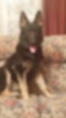 Team Charlie/Layla Newburn TN