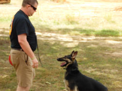 SAM_0350.JPG