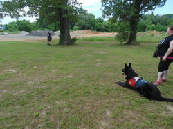 Tasha Jimmy and Gunner