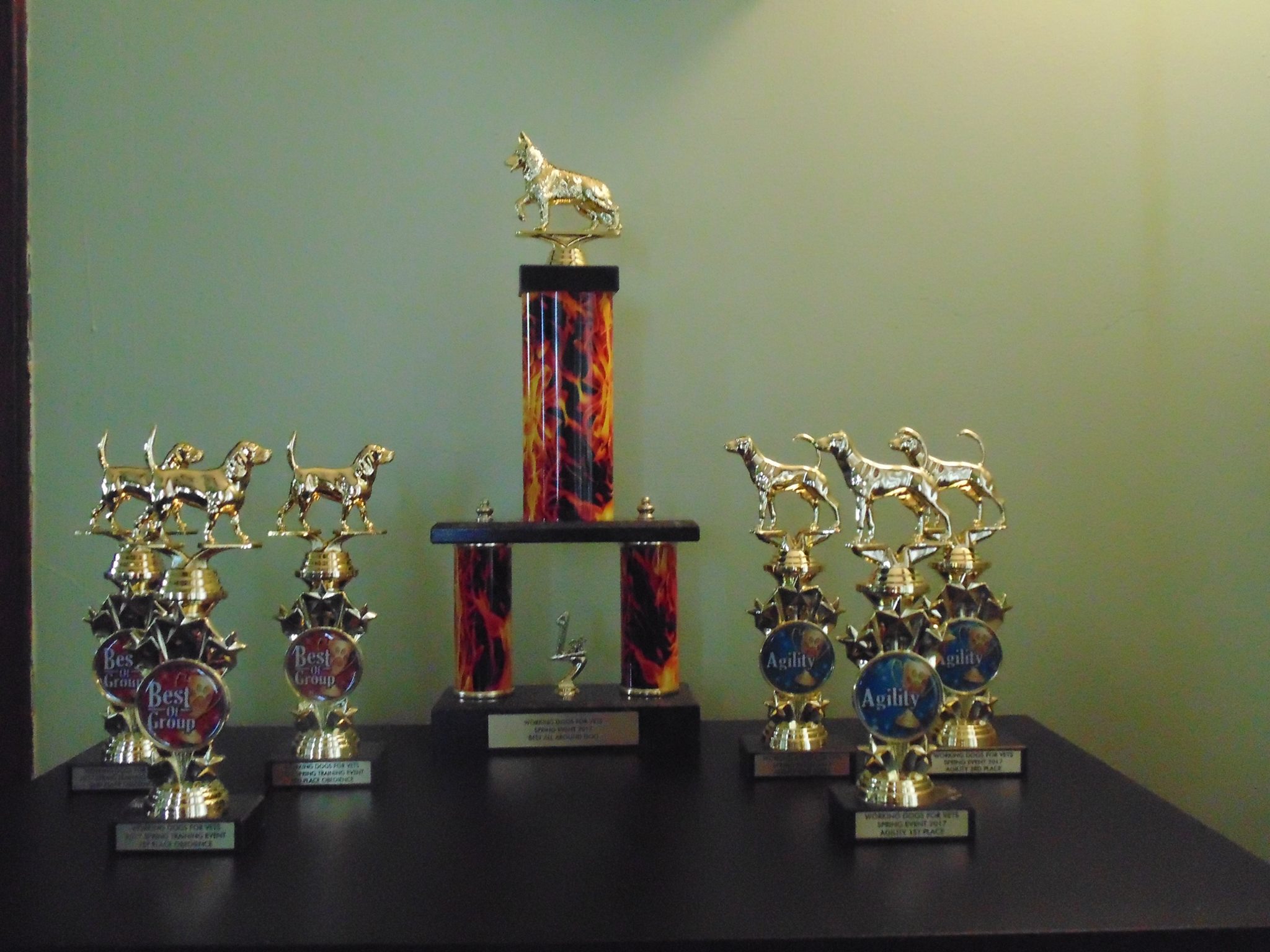 Trophies