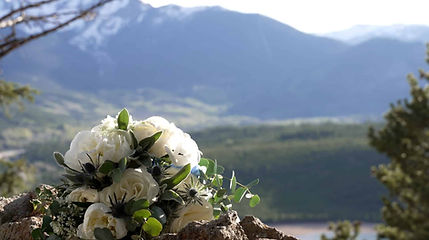 sapphireflowers_1.22.1 (1).jpg