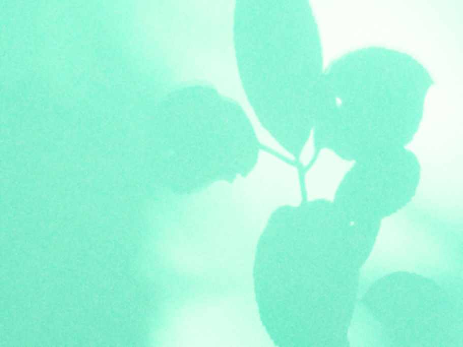 mintleaves.jpg