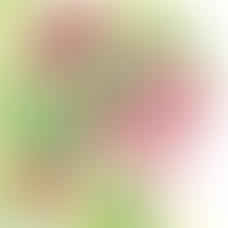 Slow and patient medicine of rose