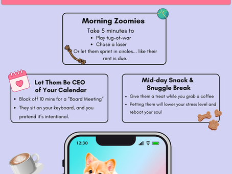 Remote Workers: Your Pet Secretly Wants These 3 Things