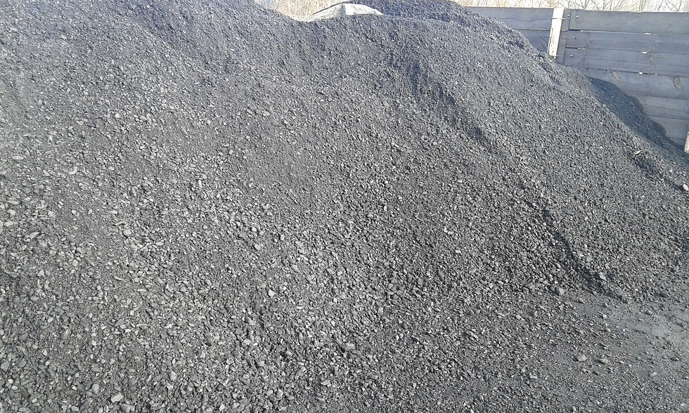20150225_105815_—_kopia.jpg