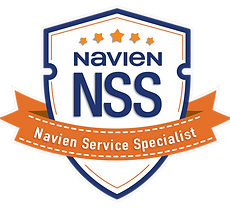 NSS-LOGO-2022-08-26-v4.png