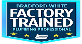 BW-factory-trained-plumbing-professional-badge-final.png
