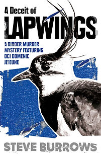 Lapwings Cover.jpg