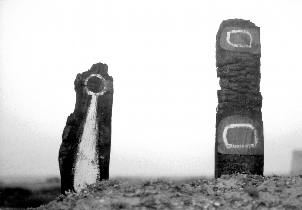 TÓTEMS