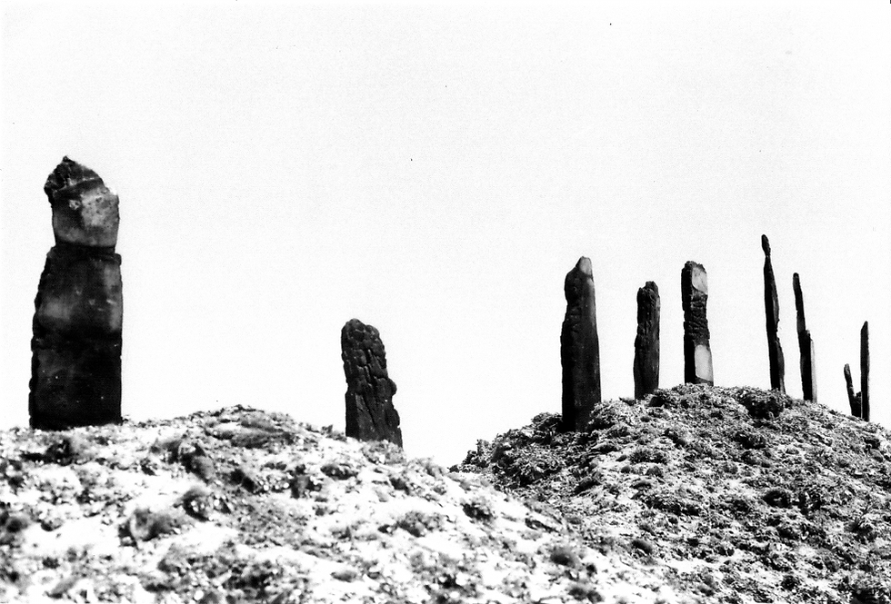 TÓTEMS