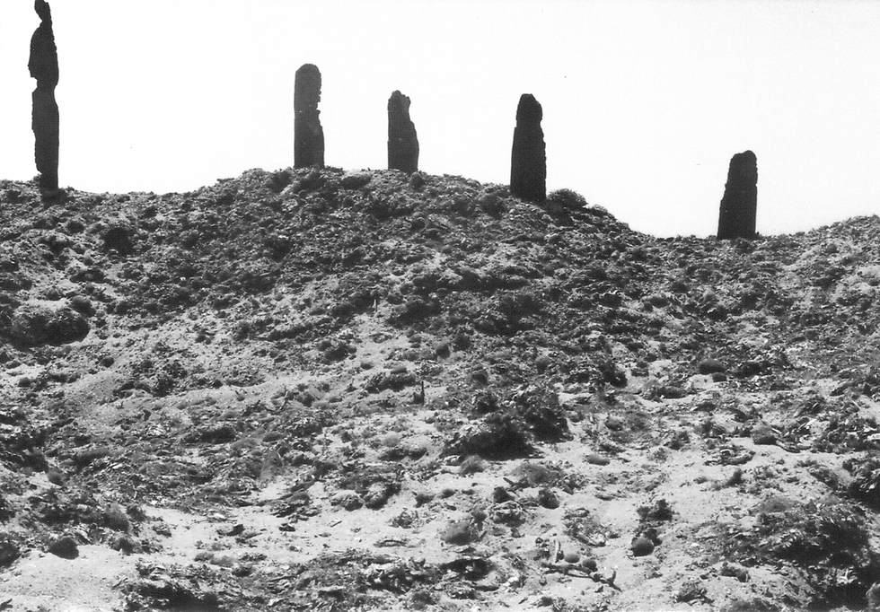 TÓTEMS