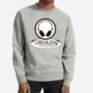 Grey Crewneck Sweatshirt