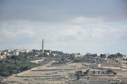 1513776_10152723418684205_6992960931852748676_n