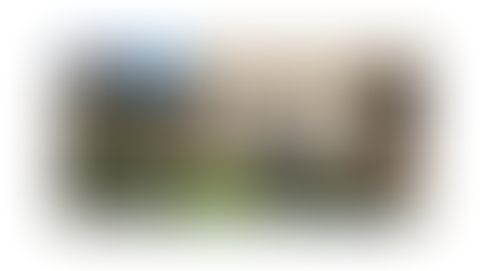 Alcohol Health Champions