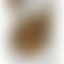 Cestitos de masa filo con champiñones, foie foodtropia, manzanas y piñones