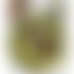 Cogollos de lechuga rellenos de bonito