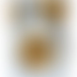 Crema de rape y calabaza con almejas