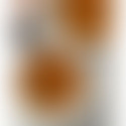 Garbanzos con pulpo y verduras en 15 minutos