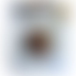 Perdices con salsa de chocolate y pistachos