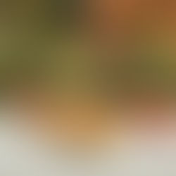 Celebra Thanksgiving con Foodtropia & Molecot