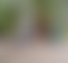 5 Things to Do & Places to Eat in Marrakesh, with Kids