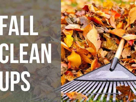 Omaha Fall Clean Ups