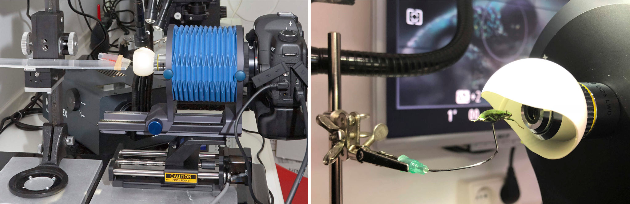 Diffusers for focus stacking