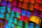 View of a highly magnified partial wing of Chrysiridia rhipheus, you can see the wing scales with different colors in close-up