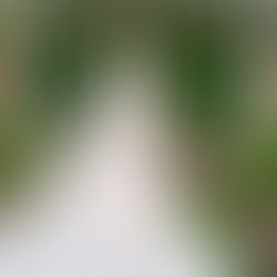 Designer Secrets for the Perfect Wedding Dress