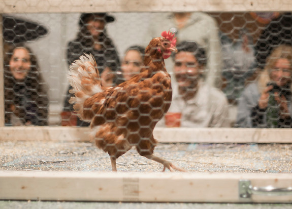 Moses Pini Siluk 006 .jpg