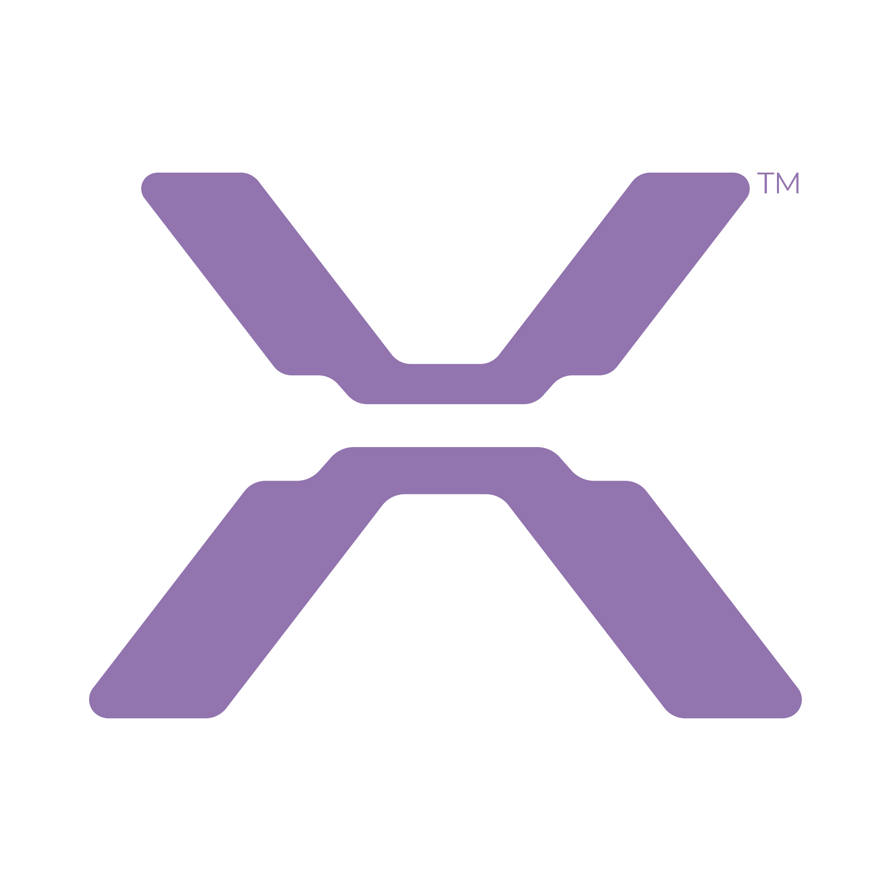 Valuex X Purple Large.png