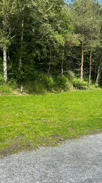 image00013.jpeg