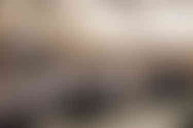 Ribuan murid dan guru berkumpul dalam Revival Worship HSKI 2026