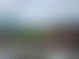 Fenway Park Field, Fenway Park, Fenway Park Stadium