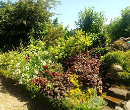 20190628_154722.jpg