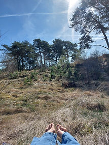 20260407_114052 (1).jpg