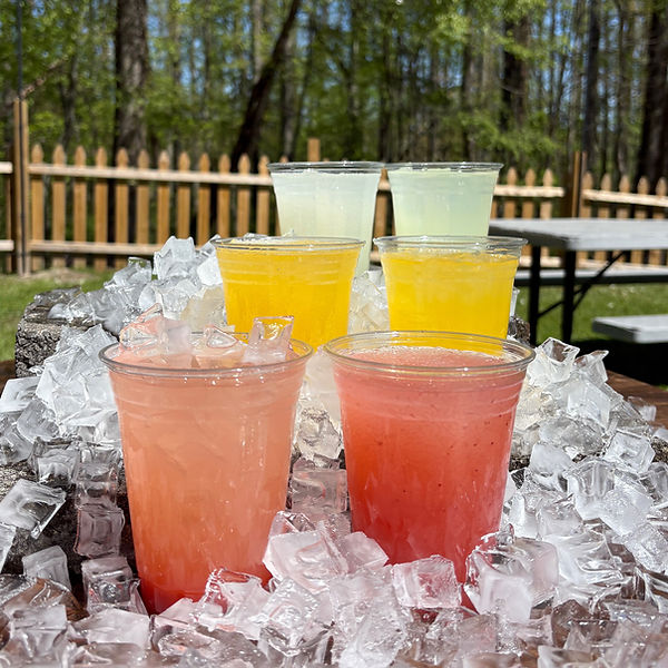 Chilled and Frozen Lemonade