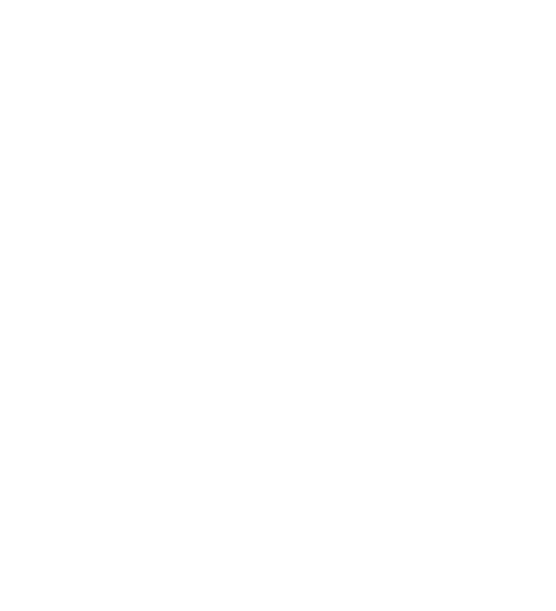 wallonie_v_blanc.png